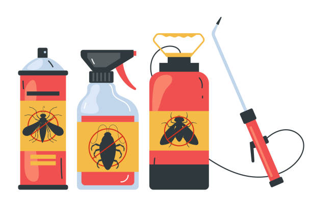 Best Spider Control Near Me  in Elizabeth, PA