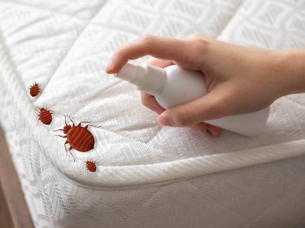 Best Emergency Pest Control  in Elizabeth, PA