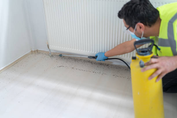 Best Affordable Pest Control Services  in Elizabeth, PA